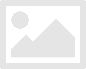 NORTON A975 sanding disc Ø 76 mm P400 1 pc